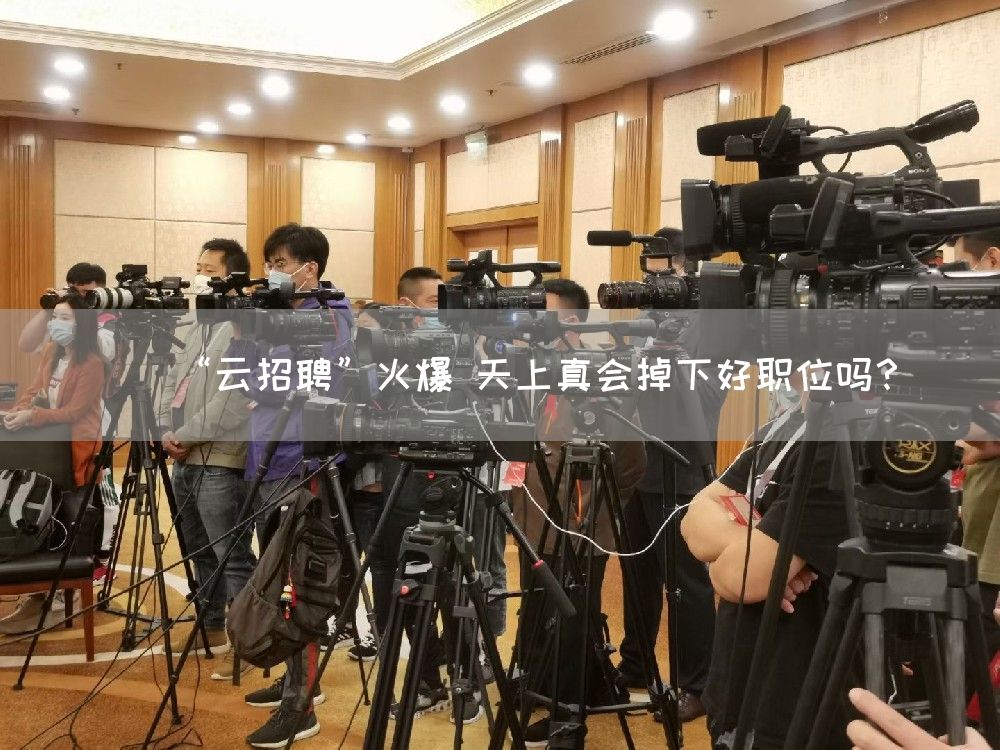 “云招聘”火爆 天上真会掉下好职位吗？(图1)