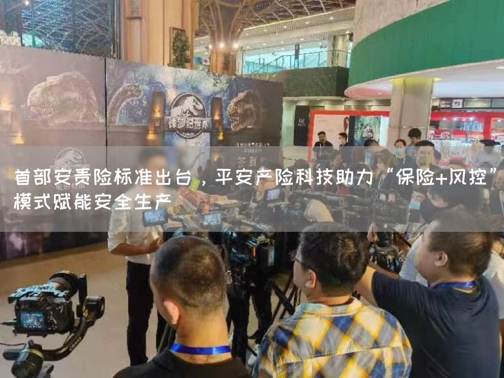 首部安责险标准出台，平安产险科技助力“保险+风控”模式赋能安全生产(图1)