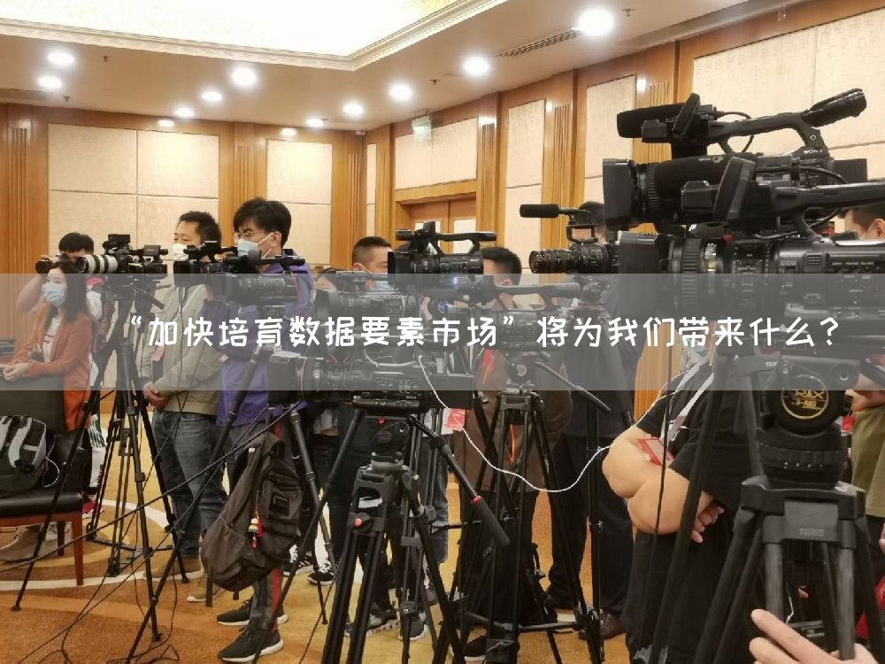 “加快培育数据要素市场”将为我们带来什么？(图1)