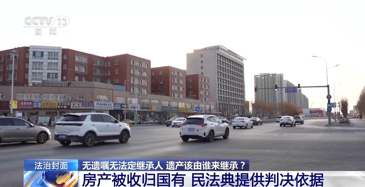 法治在线丨赵女士走了,叔姑舅姨9人争遗产,房产为何收归国家?案例释法→(图16) 法治在线丨赵女士走了,叔姑舅姨9人争遗产,房产为何收归国家?案例释法→(图16)