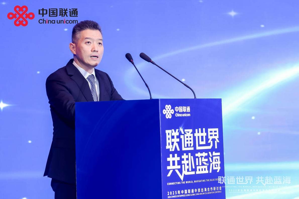 共赴蓝海 中资企业探索出海新路径(图1)