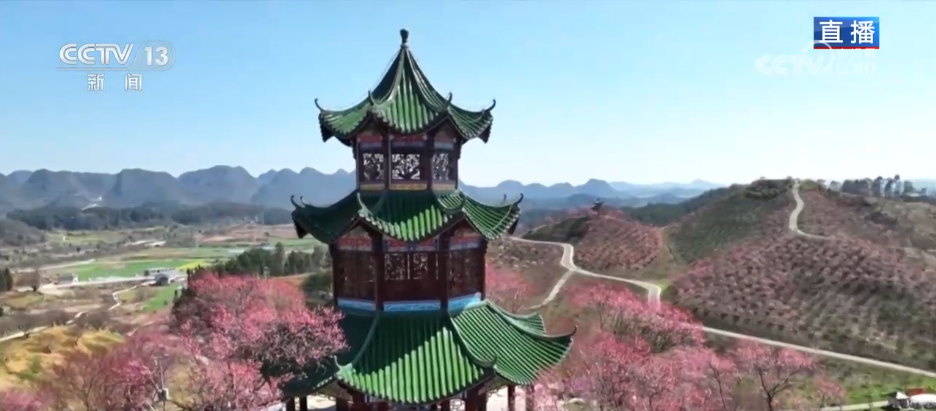 唱好“花为媒” 发展“花经济” 各地抢抓“春日经济”流量红利(图9)