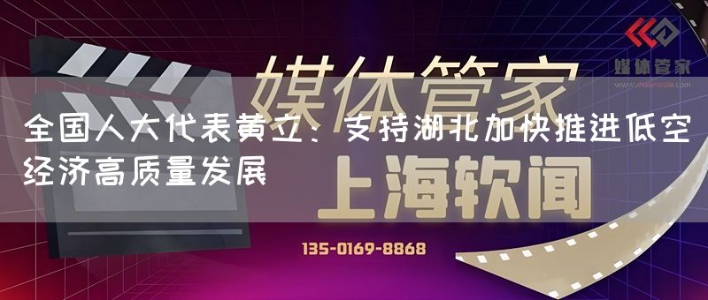 全国人大代表黄立：支持湖北加快推进低空经济高质量发展(图1)