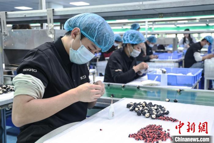 广东东莞“哪吒”旋风背后：“世界工厂”迈向进阶之路(图1)
