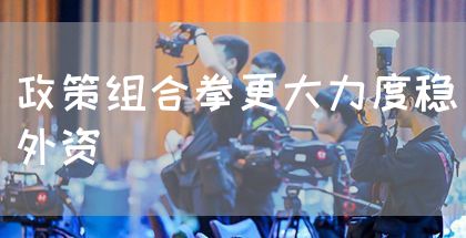 政策组合拳更大力度稳外资(图1)