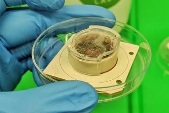 培养皿中的“微型大脑”会学习？首款商用生物计算机CL1如何用脑细胞颠覆计算未来(图5)