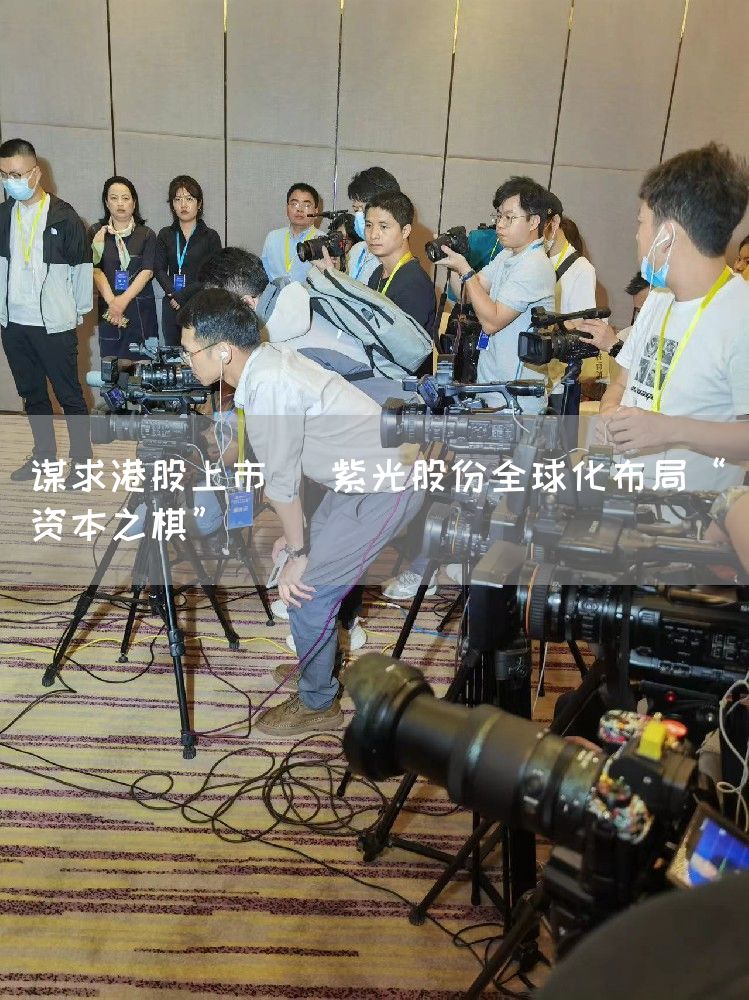 谋求港股上市   紫光股份全球化布局“资本之棋”(图1)