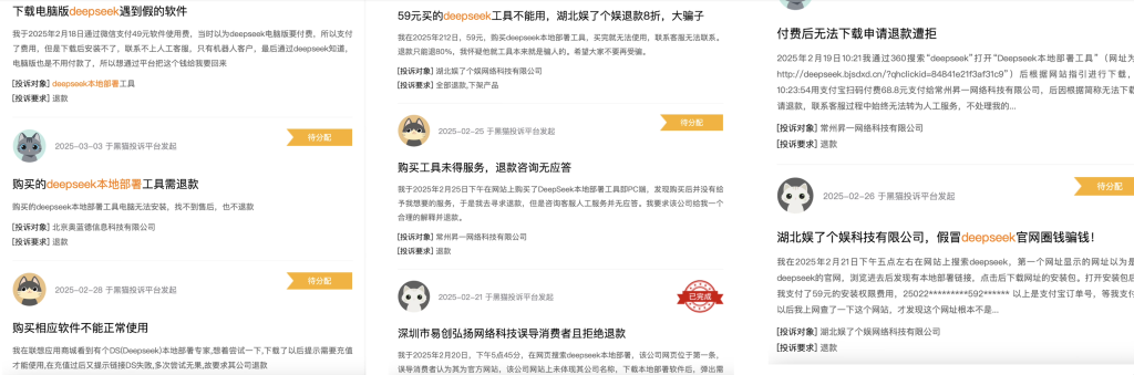49元本地部署？198元“永久会员”？三千“李鬼”网站寄生DeepSeek(图4)