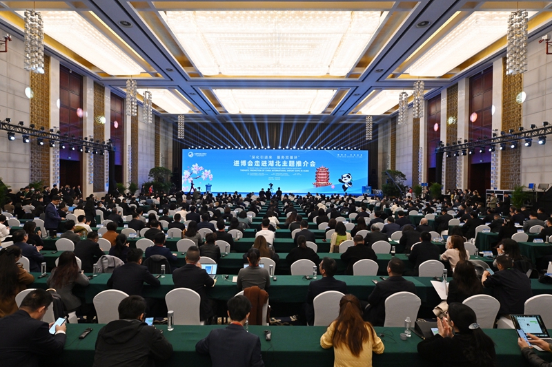 进博会走进湖北 “支点”发力“链接”全球(图1)