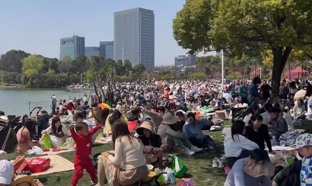 赏花季多地“全城出动”：上海顾村公园单日接待游客超10万人次(图6)