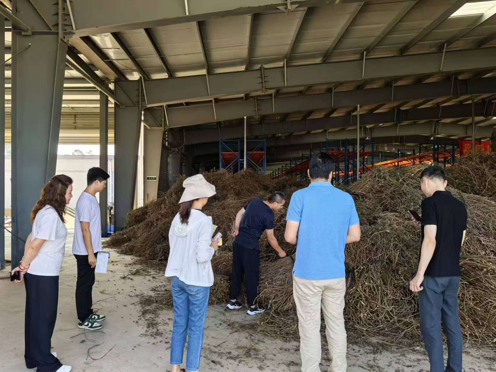 广州善同科技助力惠来县多个乡镇产业多元化发展(图4) 广州善同科技助力惠来县多个乡镇产业多元化发展(图4)