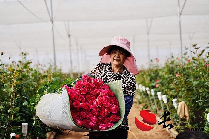 1716866604487793.jpg 拼多多式投资:用户信任与规模增长的双赢(图2)