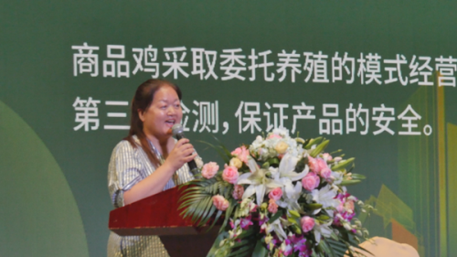 “鸡皇后”三十年让乌鸡成了金凤凰 圆了上万贫困人口脱贫梦(图2)