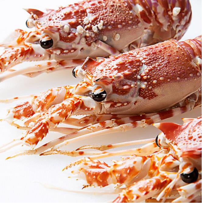 宴御新西兰美食节华丽开启，尽享奢豪远洋海鲜(图4)