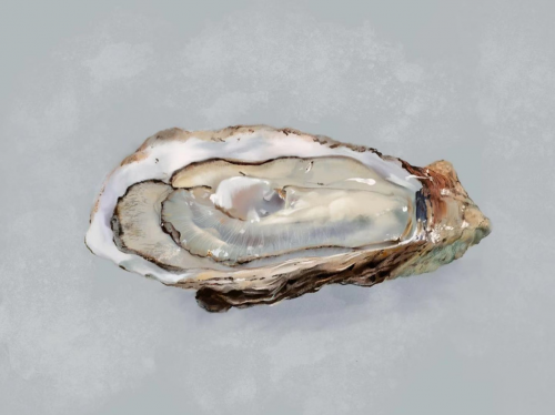 华为视觉设计师Emma：用画笔创作梦想的世界(图3)