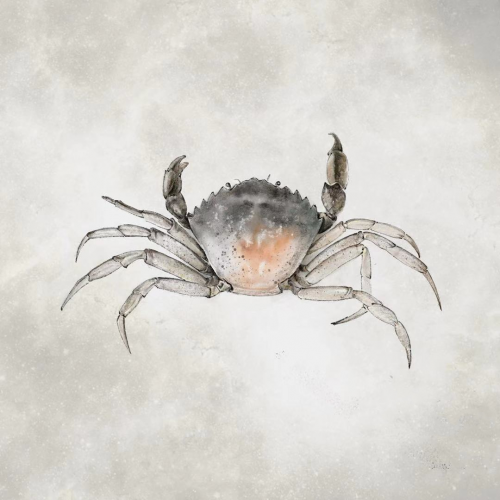 华为视觉设计师Emma：用画笔创作梦想的世界(图2)