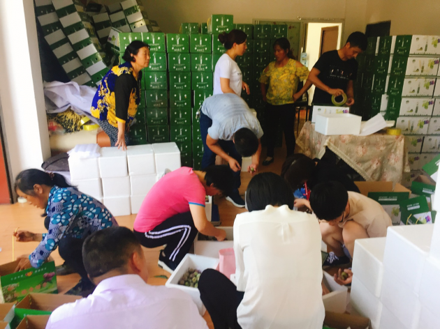 从众“愁”到众筹 九三学社中央携手京东数科助力旺苍“网红果”致富(图1) 从众“愁”到众筹 九三学社中央携手京东数科助力旺苍“网红果”致富(图1)