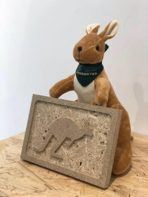 聚焦木博会第二日,澳思柏恩三重个性领跑人气榜(图3) 聚焦木博会第二日,澳思柏恩三重个性领跑人气榜(图3)